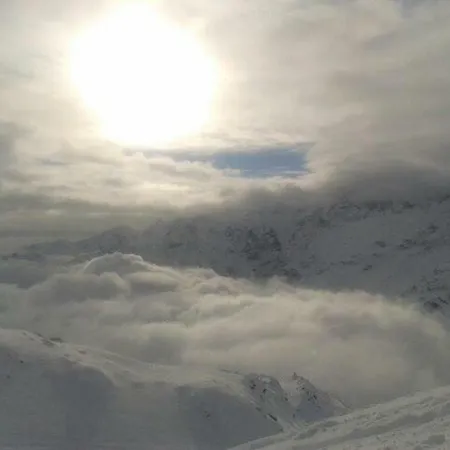 Grand'ourse * 브루일서비니아